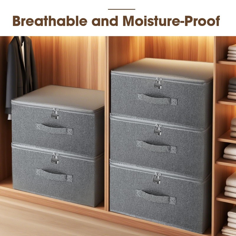 Lockable Storage Box, Organizer Bag Bins Case, Box with Lock,