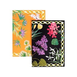 Caspari Mary Delany Flower Mosaics Assorted Boxed Note Cards - 32 Note Cards & Envelopes