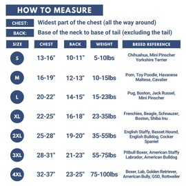 Spark Paws Dog Pajama, Ultra-Soft and 4-Way Stretch, Recovery-Suit PJ Onesie for Small, Medium and Large Breeds - Sunshine - XXL