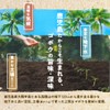 Wakuwakuen Burdock Tea Bag (100 Packs) Made in Japan, Decaffeinated