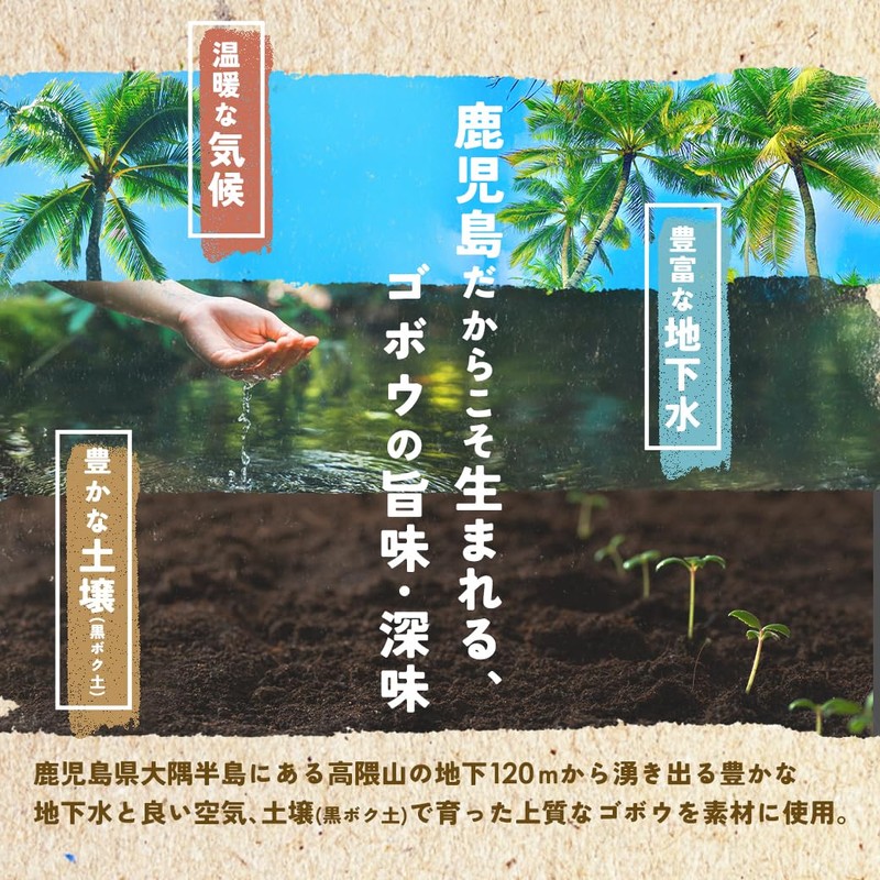 Wakuwakuen Burdock Tea Bag (100 Packs) Made in Japan, Decaffeinated