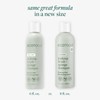EcoTools - Shampoo Limpiador para Brochas y Esponjas de Maquillaje,