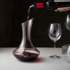 Yadiraom 6 beccucci per bottiglie da 6 cl, dosatore per