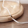 Lights4fun Regular Glass Cloche Bell Jar Display Dome with Wooden