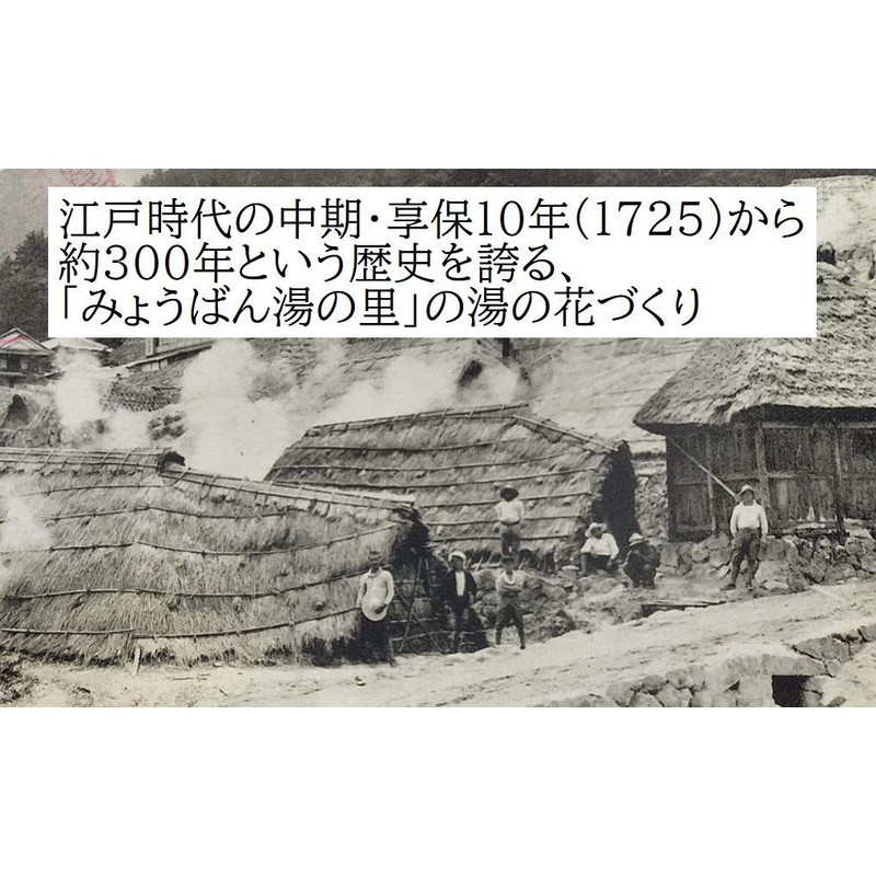 みょうばん湯の里 【医薬部外品】薬用湯の花25回分×3個セット 入浴剤 10g×75パック