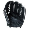 SAKURAI Promark FGS-3141 General Soft Softball All-round Gloves, Present