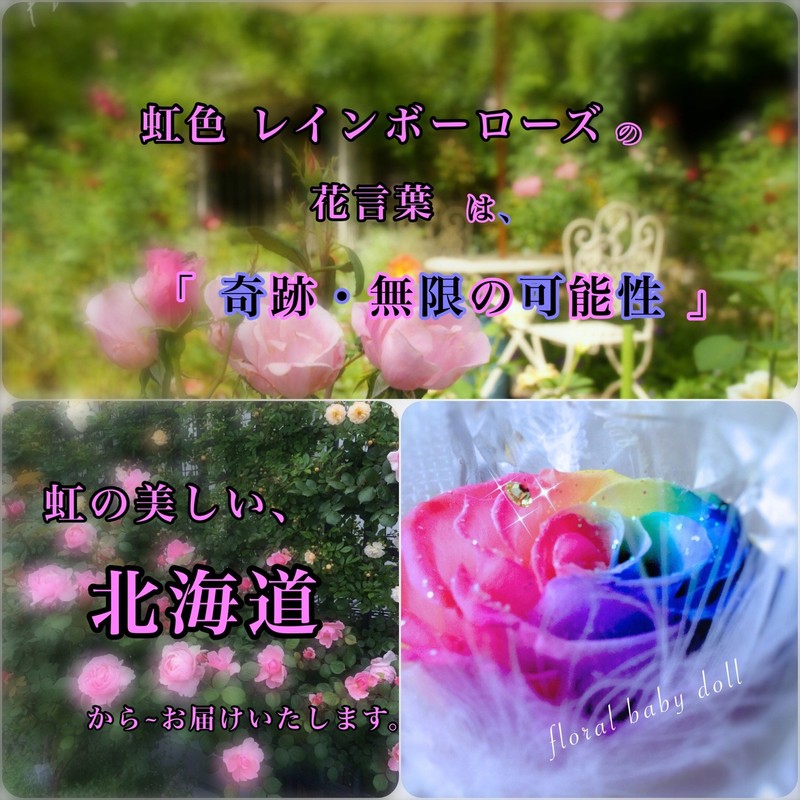 Floral Babydoll Preserved Flowers Rainbow Rose Jewelry Case