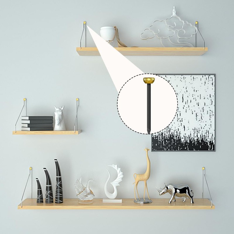 60pcs Picture Hanging Nails with Brass Heads – Masonry Pins