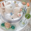 Ingenuity Spring & Sprout 2-in-1 Baby Activity Center Jumper and