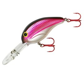 BANDIT LURES Series 300 Crankbait Bass Fishing Lures, Fisghing Accessories, Dives to 12-feet Deep, 2', 1/4 oz, Grenada Shad, (BDT3D46)