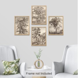SIGNWIN Poster Forest Tree Sketches Sepia Duotone Wilderness Nature Illustrations Fine Art Decorative Country/Farmhouse Vintage for Living Room, Bedroom, Office - 8"x10"x 4