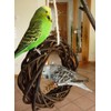 Vogelgaleria® Delicious Willow Ring for Nibbling for Budgies, Cockatiels etc.