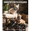 TagME Nylon Dog Collar, Adjustable Reflective Dog Collar with Safety