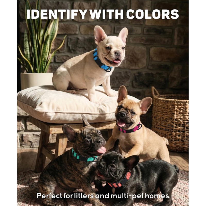 TagME Nylon Dog Collar, Adjustable Reflective Dog Collar with Safety