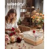 wisedry Silica Gel Flower Drying Container, One Step Retrieve Dried