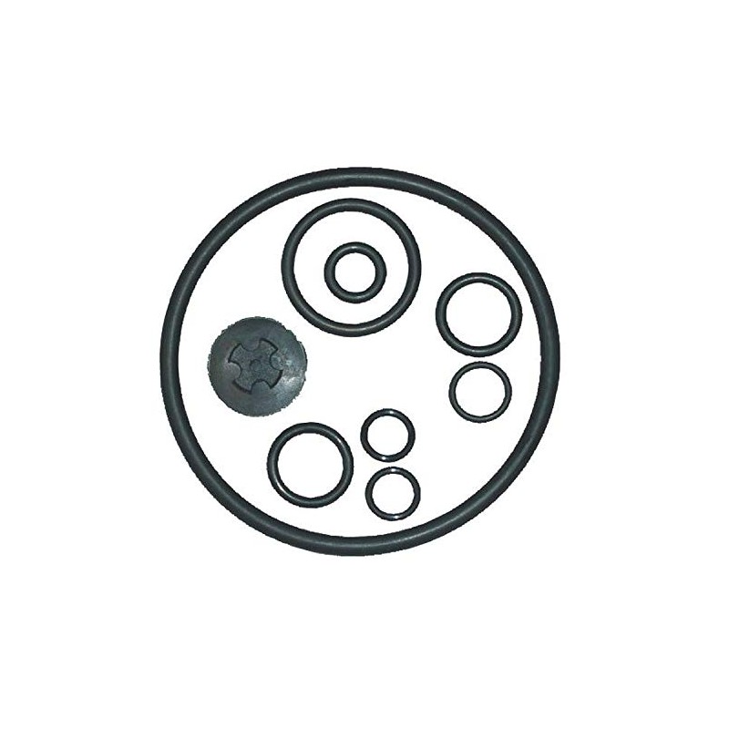 Solo 4900551 Gasket Kit for 461-02/462/463 Sprayers - Red