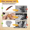 Premium Wood Carving Tools Kit - Ergonomic Walnut Handles, Razor-Sharp