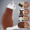 QBLEEV Cat Pajamas for Cats Only, Sticky Hair Cat Clothes,