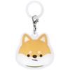 Skater ZUM1-A Umbrella Marker Umbrella Rain Goods SHIBA Shiba Dog