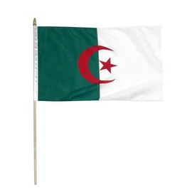 Online Stores Algeria 12 x 18 Inch Flag