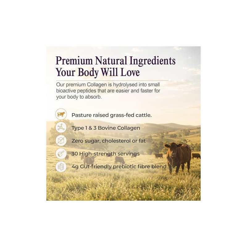 Prebiotic Collagen Powder - 420g Hydrolysed Collagen Peptides & Prebiotics