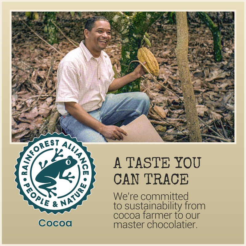 Chocolove Creamy Milk Chocolate Bars | 33% Cocoa | Crafted