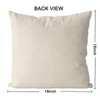 QIONG MENG St Patricks Day Pillow Covers 18x18 Inch Set