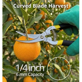 Gardeness Gardening Scissor 12 PCS Curved Stainless Steel Serrated Blade Pruning Shear, harvest shears picking shears Pruning Snip Harvesting Fruit Picking, Mandarins, Lemons and Grape