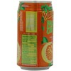 Hawaiian Sun Juice, Orange Passion, 11.5 Fl Oz (Pack of