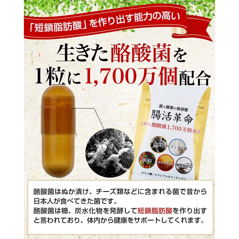 腸活革命 菌と酵素の新習慣 サプリメント 酪酸菌 ビフィズス菌 31日分