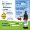 PanaKids Eisen+ Drops for Children - with Iron, Vitamin C