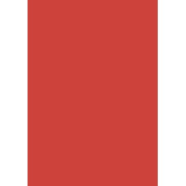 100 Sheets Coloured Printer Paper/Colourful Copier Paper/Colour: Red