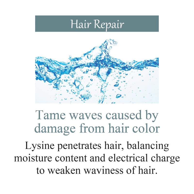 Hoyu Professional Pro Master Color Care Karmy Treatment 7.1 oz