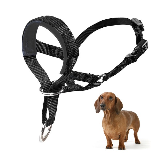All in one Headcollar Lead, Head Collar Dog with Padded