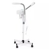 ArtistHand 2IN1 Facial Steamer 5x Magnifying Lamp Hot Ozone Salon