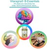 VITARAGNA Veganer Vitamin B-Komplex, 60 Kapseln, Vitamin B12, B1, B5,