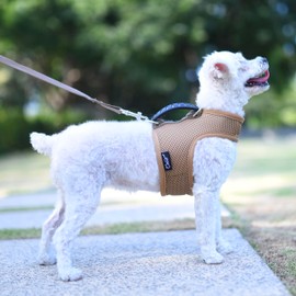 Teacup Dog Harness and Leash Set Small Pet Harness for Summer, Adjustable Soft Padded Dog Vest with Handle for Teacup Chihuahua, Poodle, Yorike, Maltese Under 3LB, Solid Brown Mesh Fabric