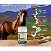 V-POINT - Laminitis Ease - hoof Supplements for Horses -