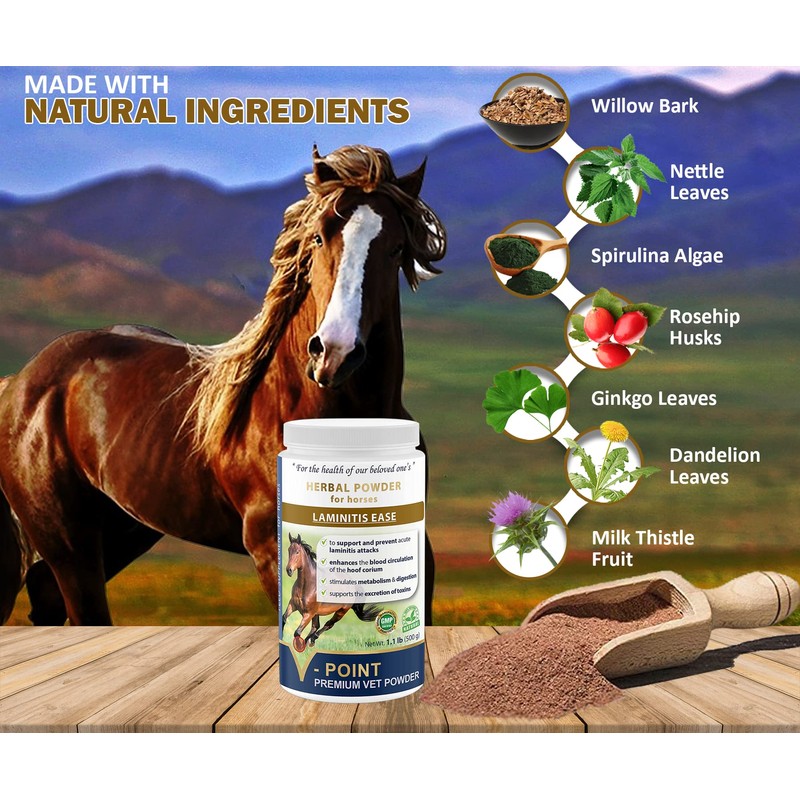 V-POINT - Laminitis Ease - hoof Supplements for Horses -