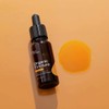 Plant Therapy Organic Herbal Tincture - Turmeric, 30ml