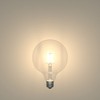 ledscom.de E27 LED Globe Filament Light G125 (12.5 cm Head
