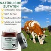 Soleneva Gras-Fed Beef Tallow Skincare Creme - Geschlagener Rindertalg Salbe