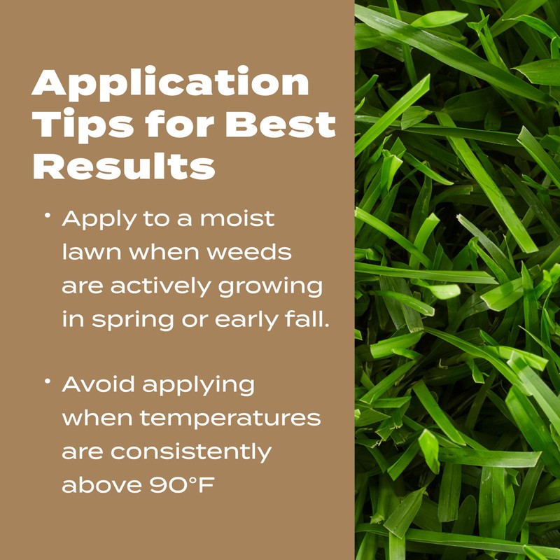 Scotts Turf Builder Weed & Feed for Texas Lawns, Weed