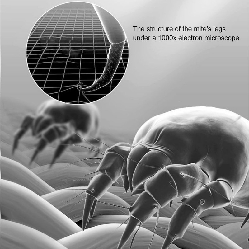 Mattress Vacuum Cleaner USB Charging Electric High Pressure Household Mite