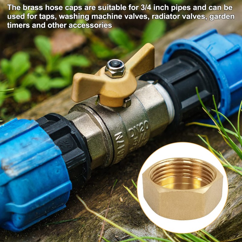 Pack of 8 Sealing Caps, 3/4 Inch with Seal, Brass