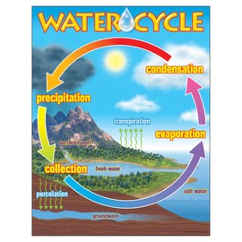 Trend The Water Cycle Learning Chart, Classroom Decor, 17" x 22"