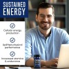L-tirosina Energa Sostenida Y Manejo Del Estrs 1000 Mg Sin