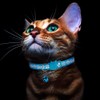 Bosose 2 Pack Cat Collar with Bells, Reflective Collars for