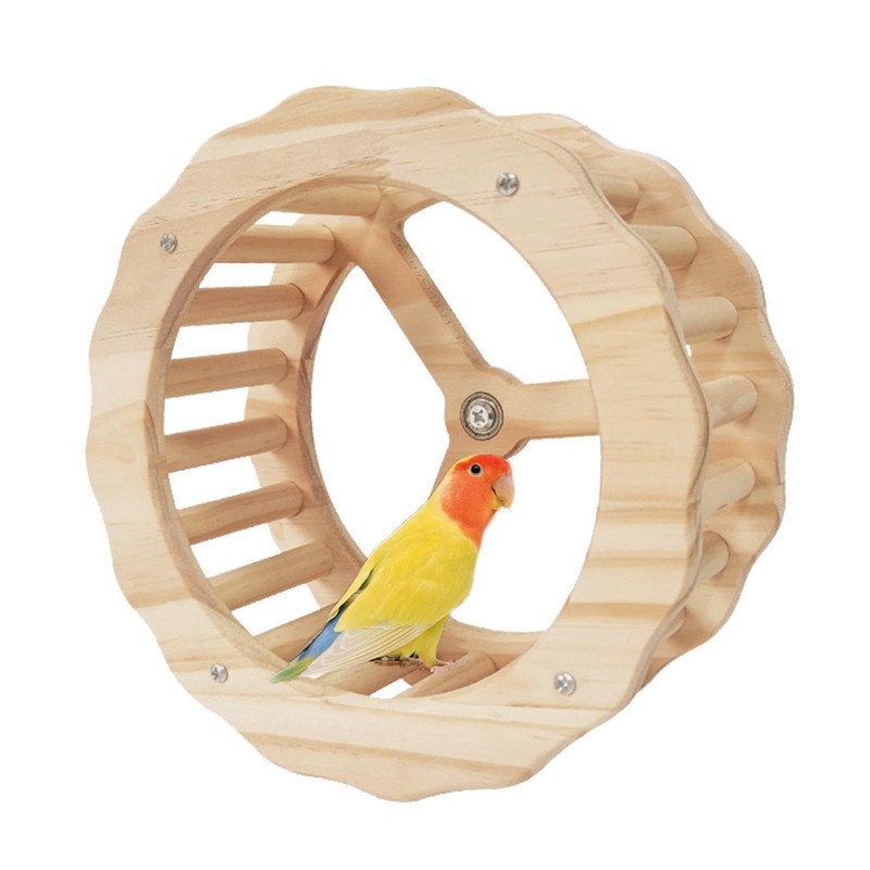 Bird Running Wheel, Spinner Running Wheels for Bird, Chew Beak