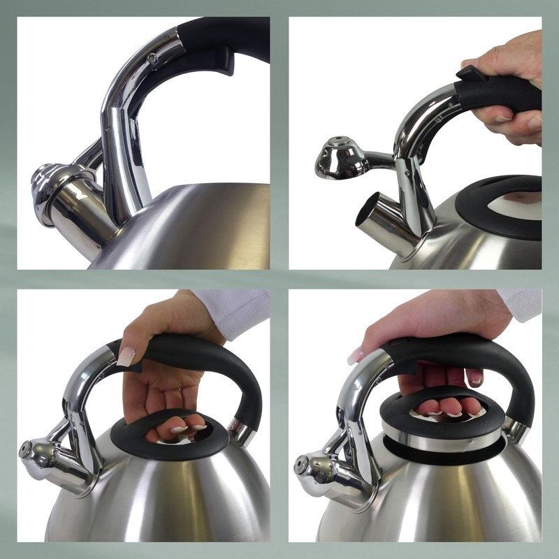 Kela Varus Kettle with Whistle, Suitable for Induction Cookers 3.0L